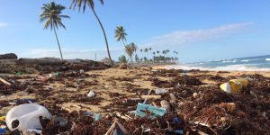 plasticos-oceanos-sostenibilidad