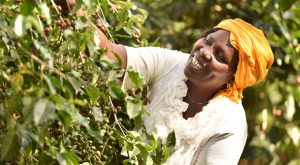 fairtrade-comercio-justo-desarrollo-sostenible