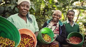 fairtrade-comercio-justo-ods