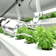 Agricultura robots