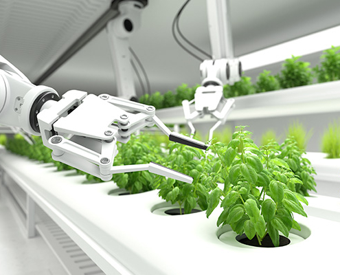 Agricultura robots